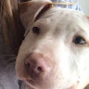 Meet your Posher, Leah